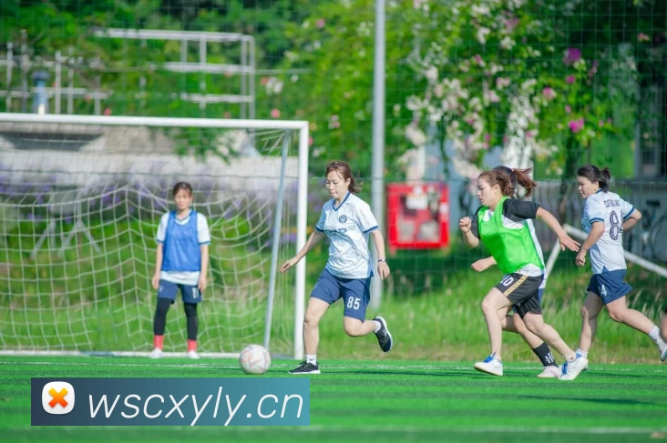 多媒体互动体验